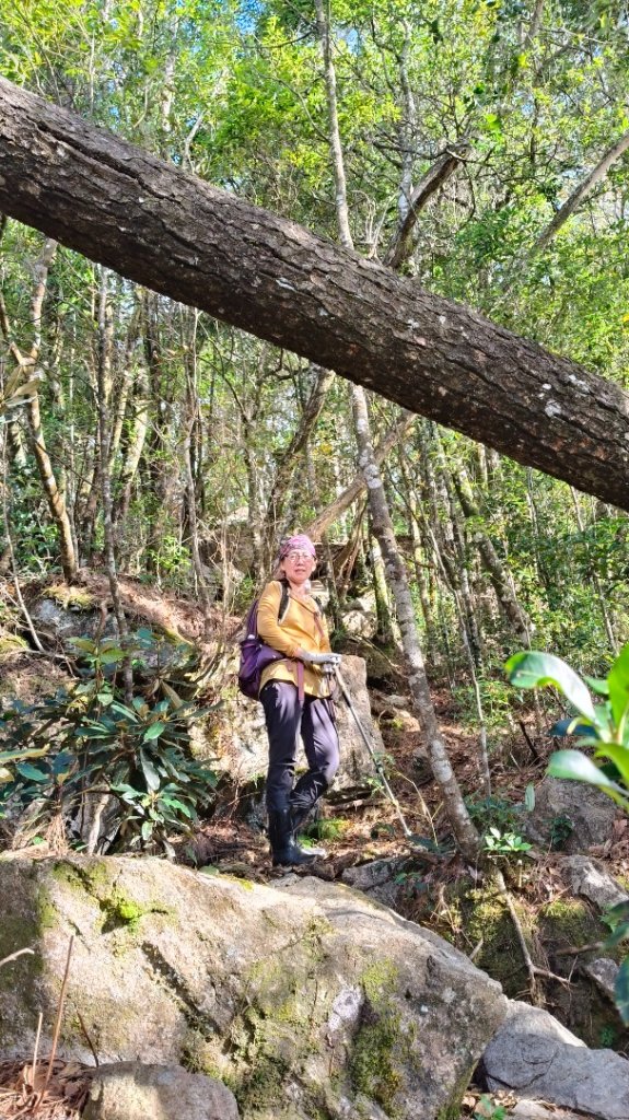 肥大醜三崠連走，鳶嘴西陵上鳶嘴山_2650365