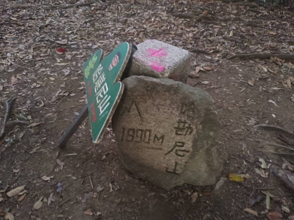 20241228之向天湖山 加里山 哈堪尼山 虎山西南峰 南大龜山 三角湖山_2688684