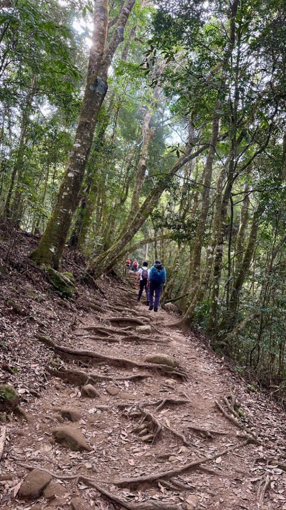 馬那邦山O走_2370141