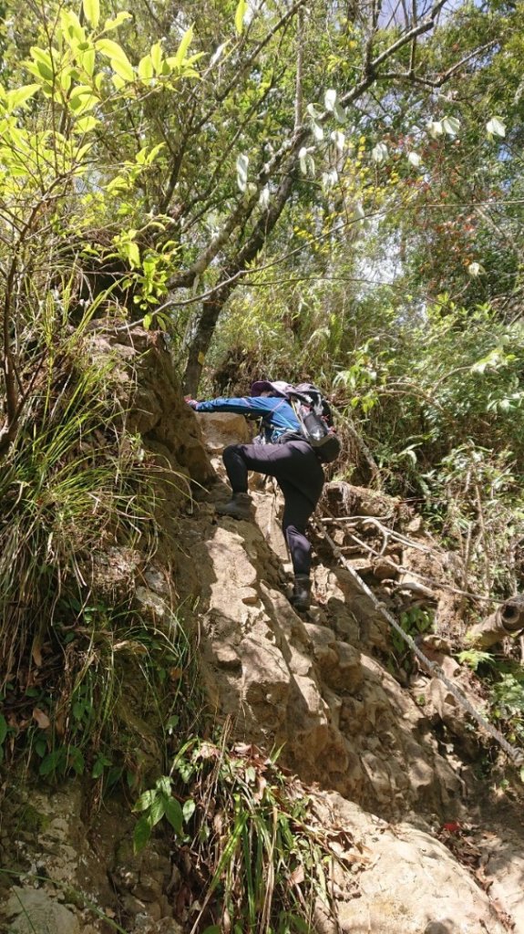 水漾森林、鹿屈山O走_2461730