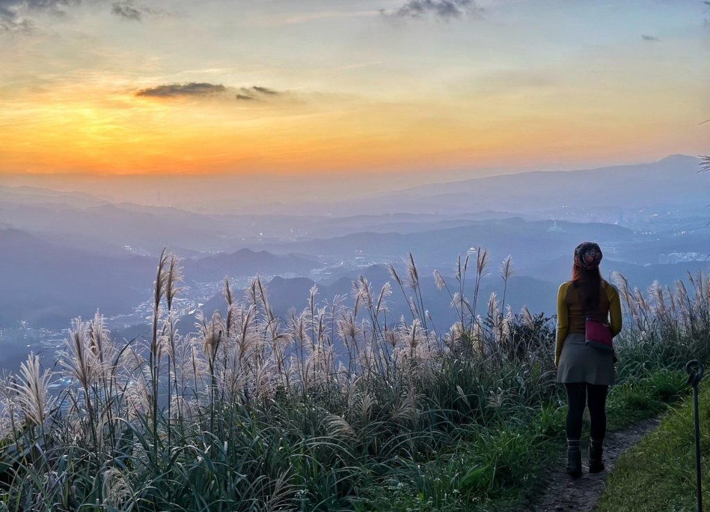 基隆山 報時山 九份 地質公園秋芒盛開封面圖