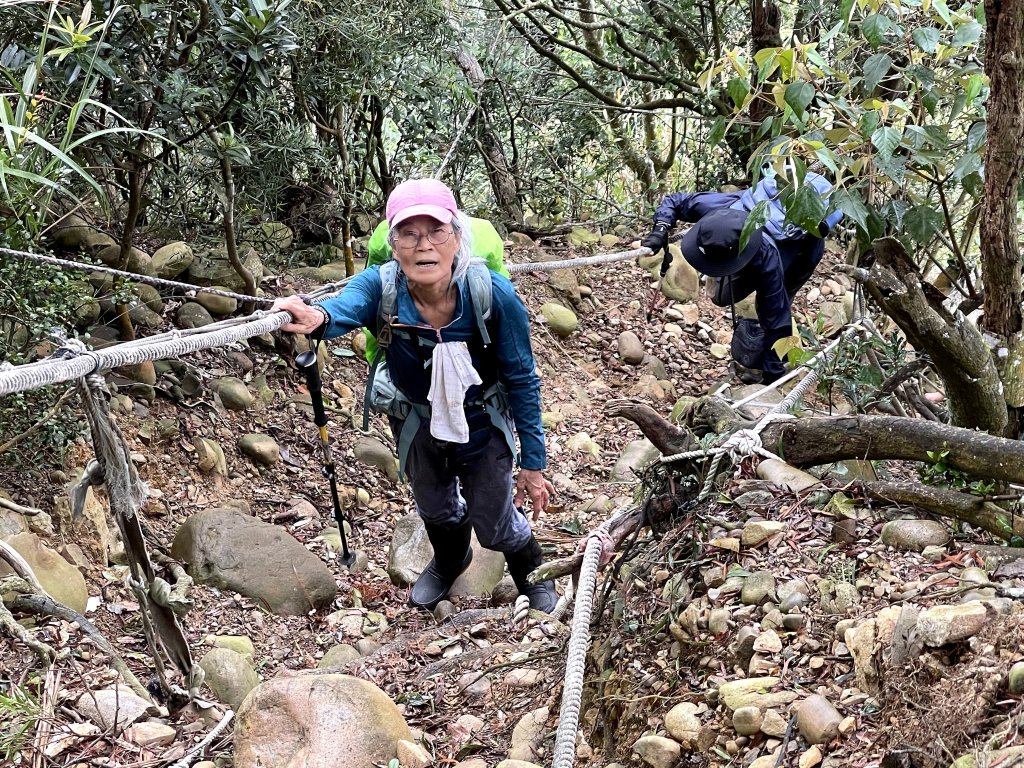 三員縱走～三角山、三角山北峰、雙峰山、雙峰山西峰、雙峰山北峰、員屯山南峰_2923986