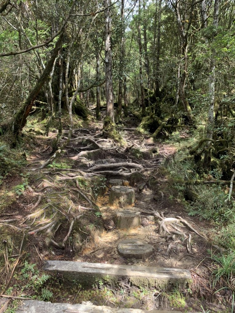 20220228翠峰湖環湖步道_1635643