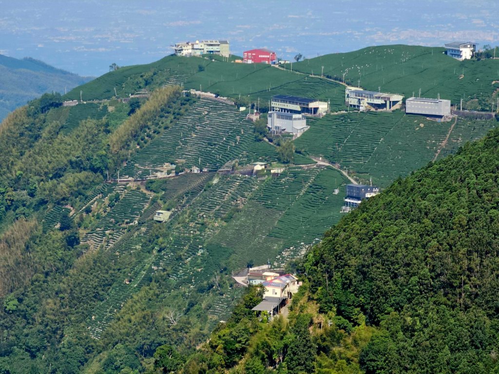 金柑樹山、忘憂森林步道-(南投)臺灣百大必訪步道_2789370