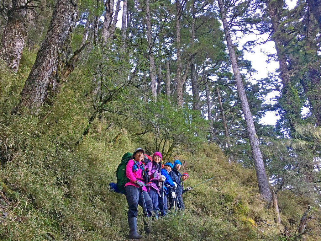 10年後重逢八通關山（八大秀未竟）_467128