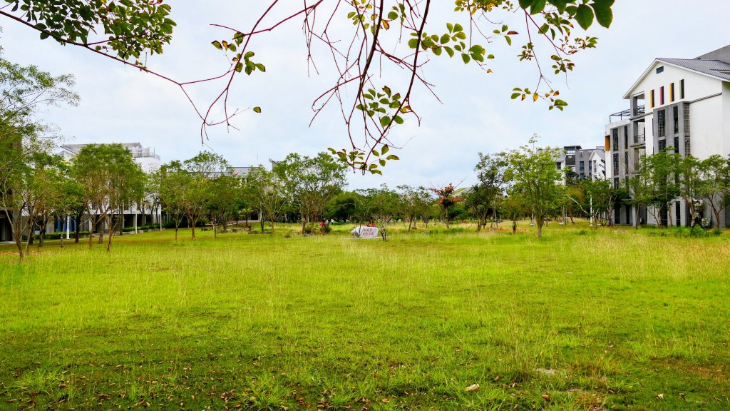 台東大學_3015154