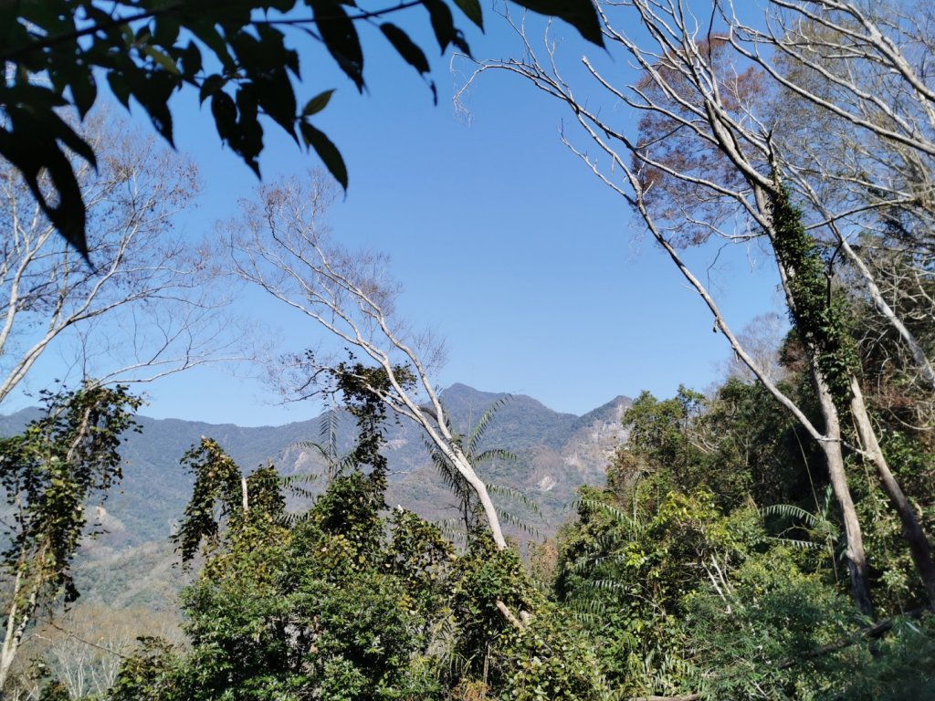 步道巡訪員│鳥嘴山步道 2 月巡訪日誌_820141