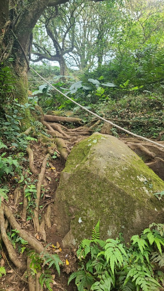 2026-0116 大屯三山_貴子坑_北投_2984732