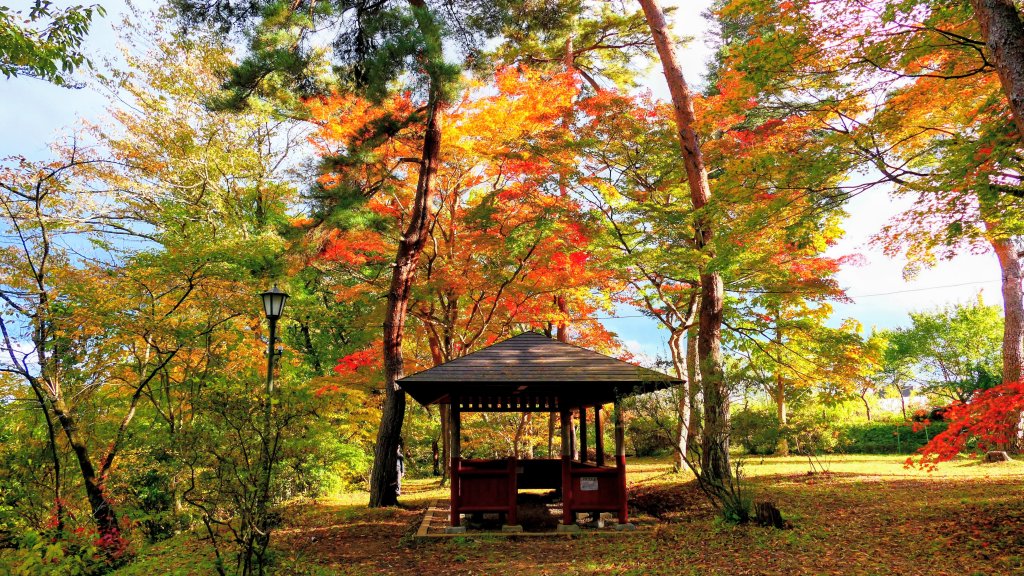 岩手縣嚴美溪封面圖