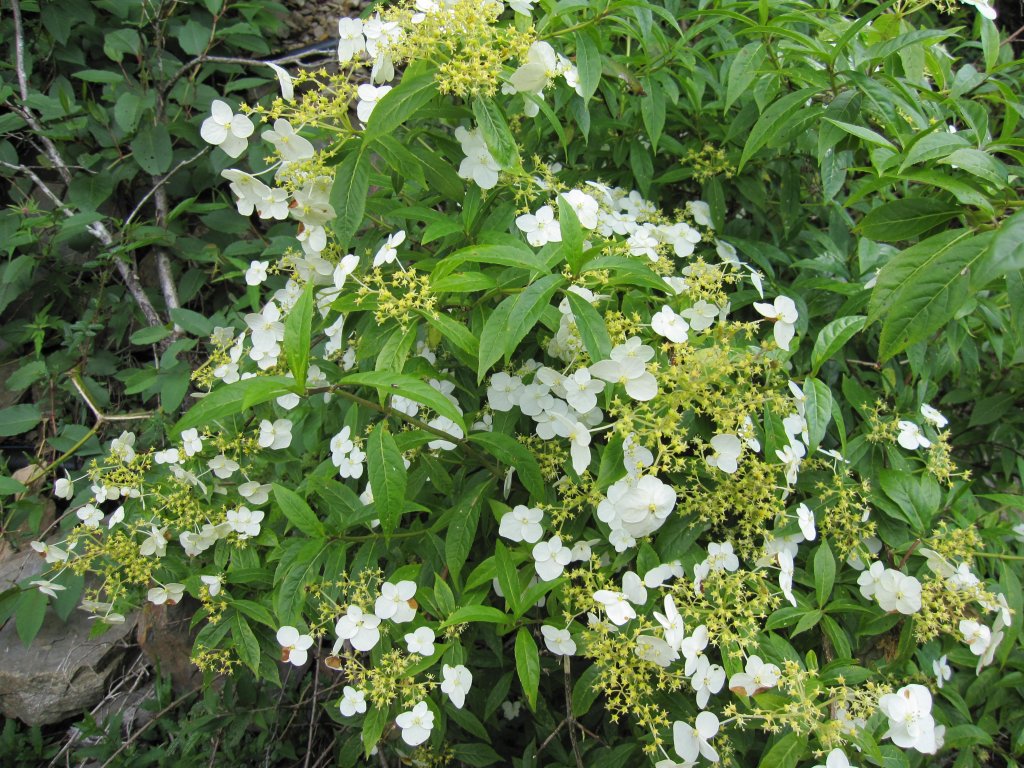 處處都是美景的合歡溪步道_1026182