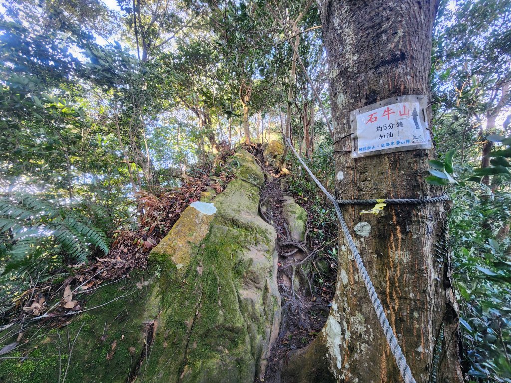 20251214石牛山柑坪山新柑坪山牛背岩_2972730