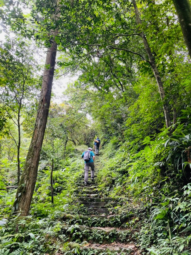 淡蘭中路（暖暖車站-十分車站）_1685454
