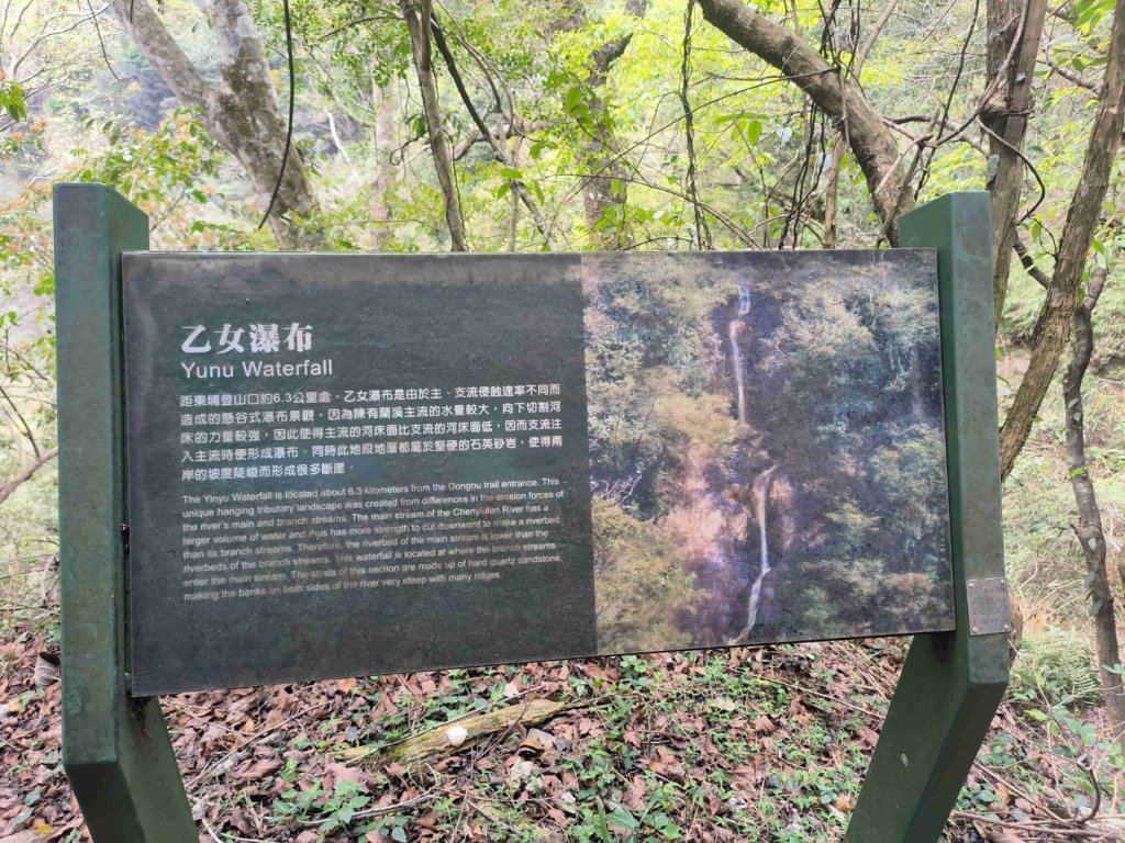 20240316 馬博8天縱走~第一天，東埔登山口到觀高工作站_2470702