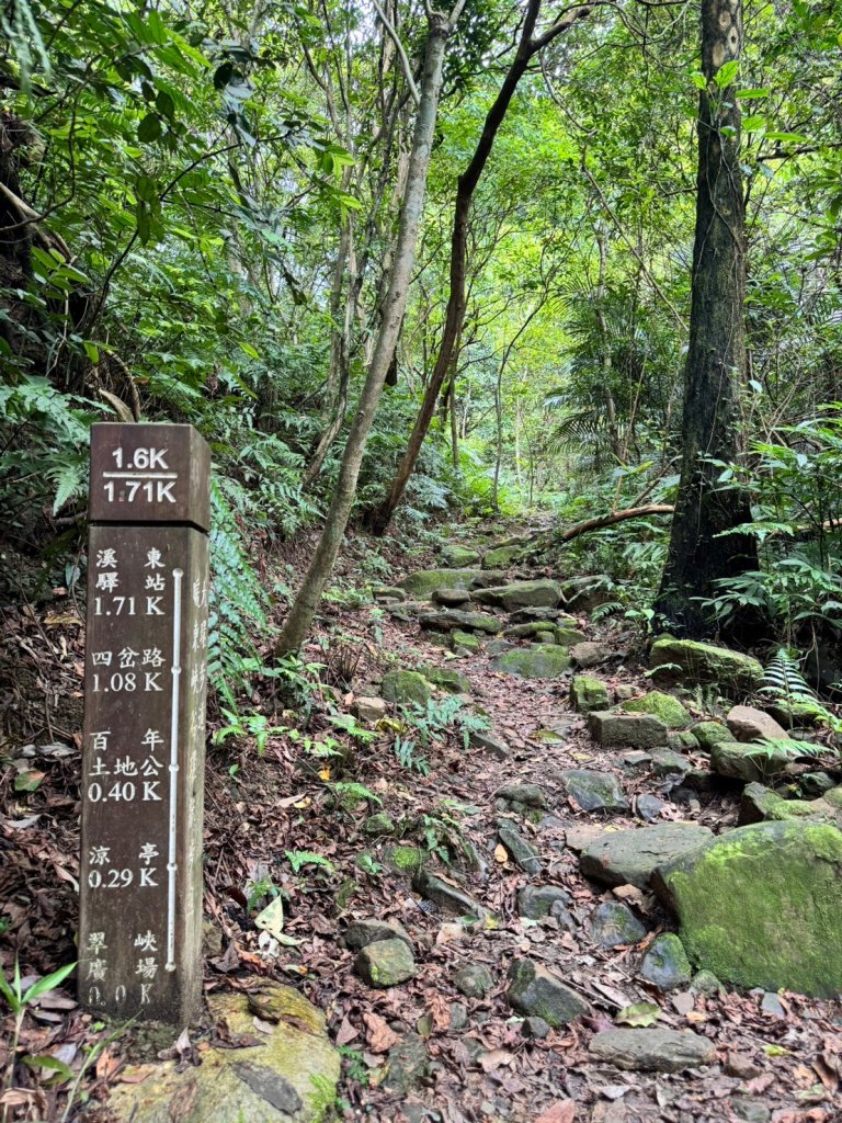 【基隆】暖東峽谷步道_2526932