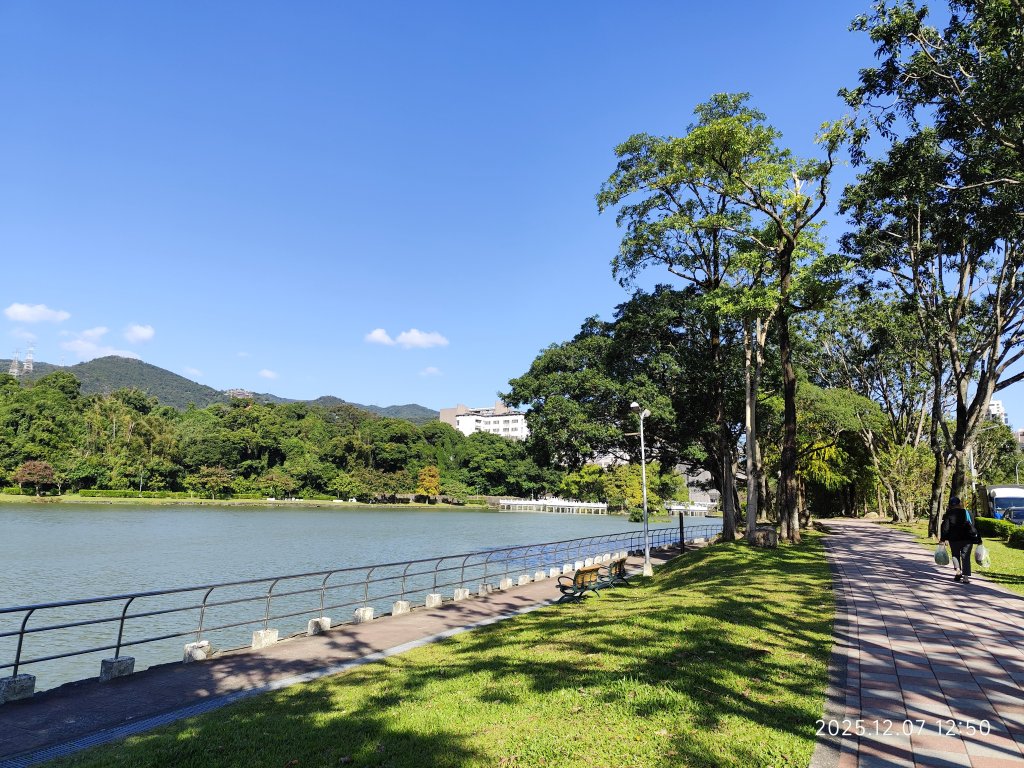 【臺北大縱走 5】碧山巖→忠勇山越嶺步道→金龍產業道路→圓明寺步道→鄭成功廟→潛園→格物台→劍潭古寺_2958958