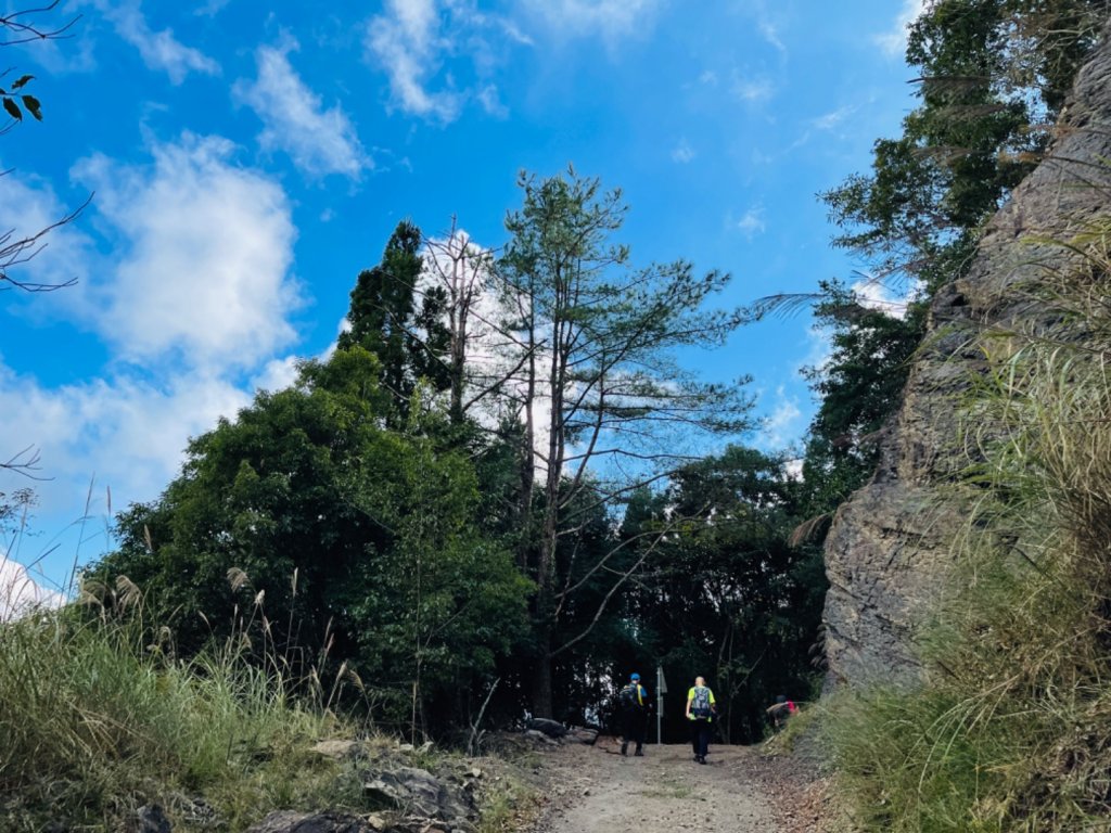 1111104二訪雪見大板根_1899300