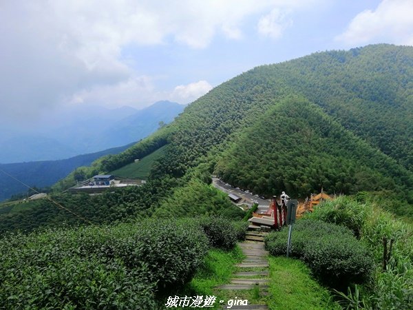 【雲嘉】超美的茶園竹林風光。小百岳集起來。#56小百岳雲嘉大尖山x二尖山x馬鞍山x#57小百岳梨子腳_1453671