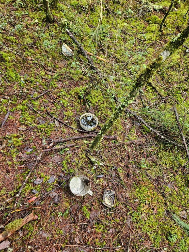 20241006給里洛山-加太縱走_2616183