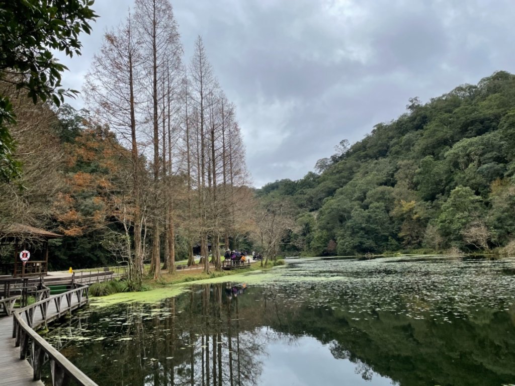 福山植物園_1571678