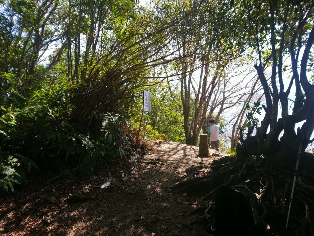 虎山 由易到難 漸進式 健身步道_855783