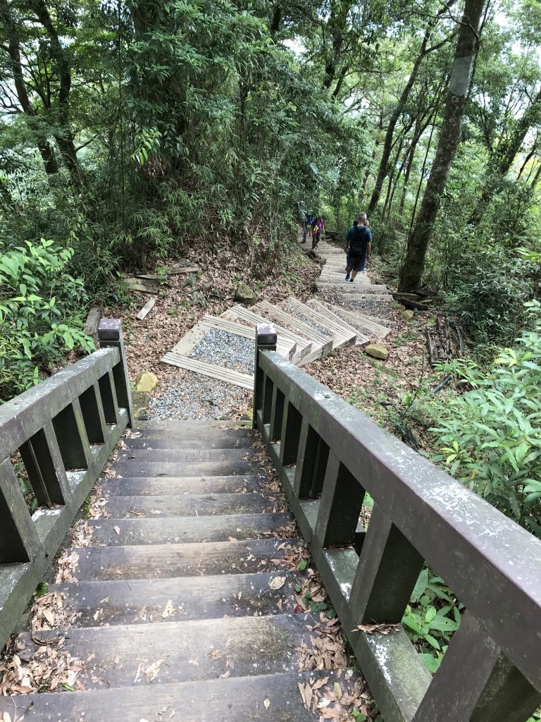 109年7月12日嘉義大凍山_1040125