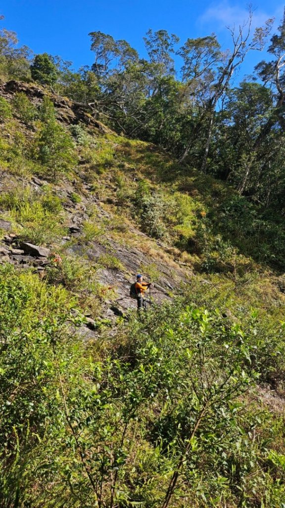 20250116北大武山步道 喜多麗斷崖 檜谷山莊_2692523