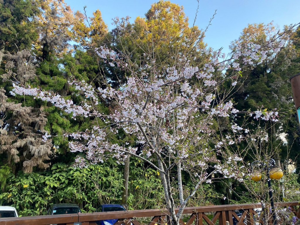 2023尋訪消失的眠月線聚焦失落沉寂的百年鐵道之旅_2110575