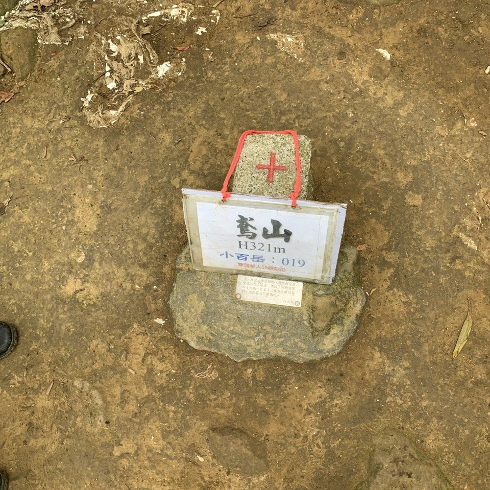 20240421 三峽鳶山_2485177