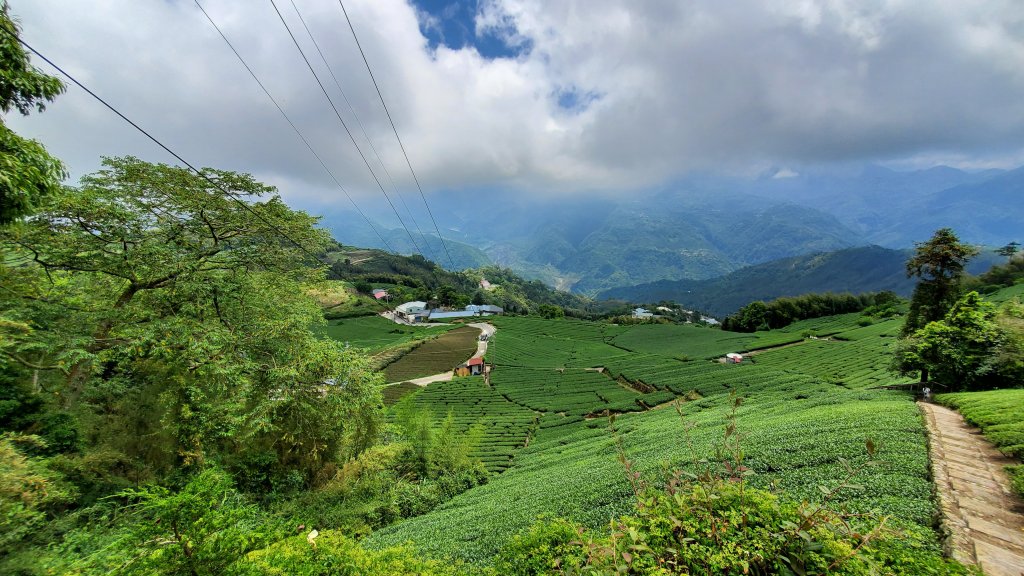 雲嘉大尖山 梨子腳山_1727397