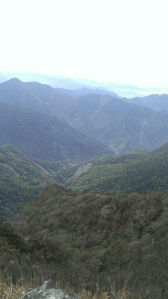 20160404苗栗加里山(二坪山入口)_34252