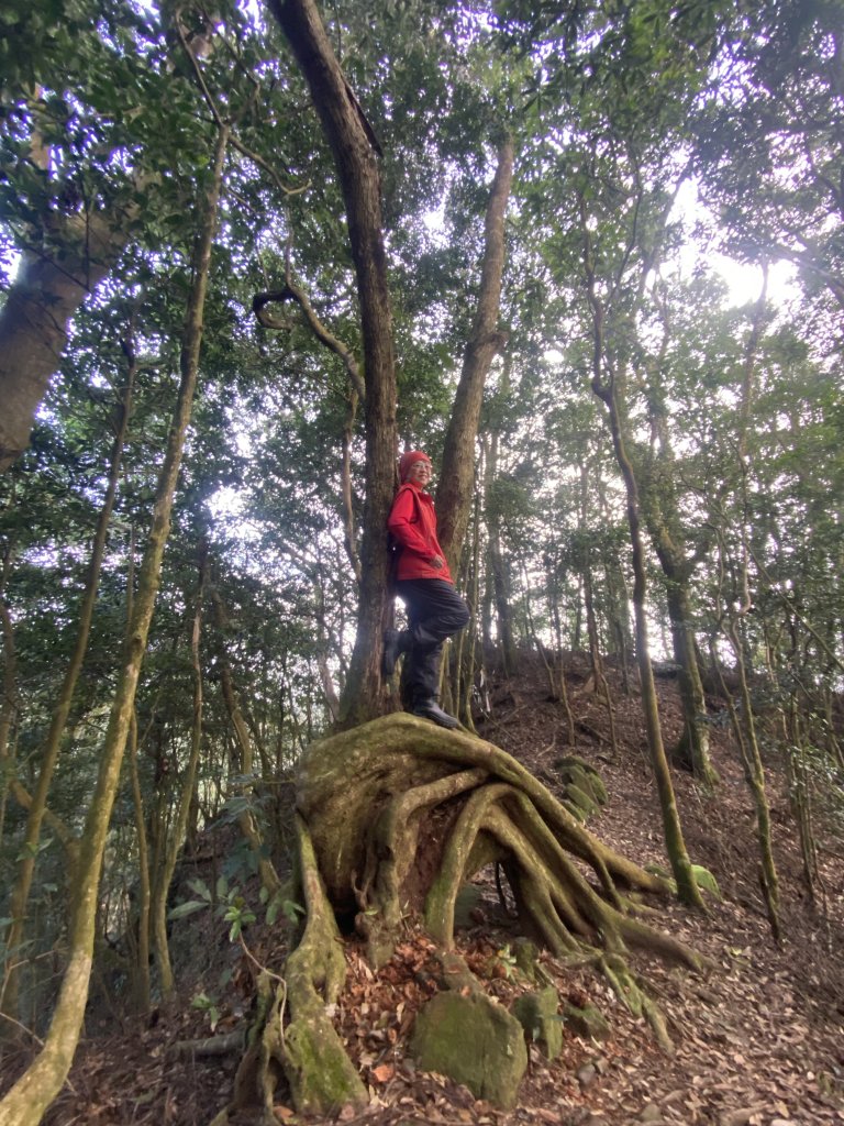 坐公車接駁的神仙縱走_2707389