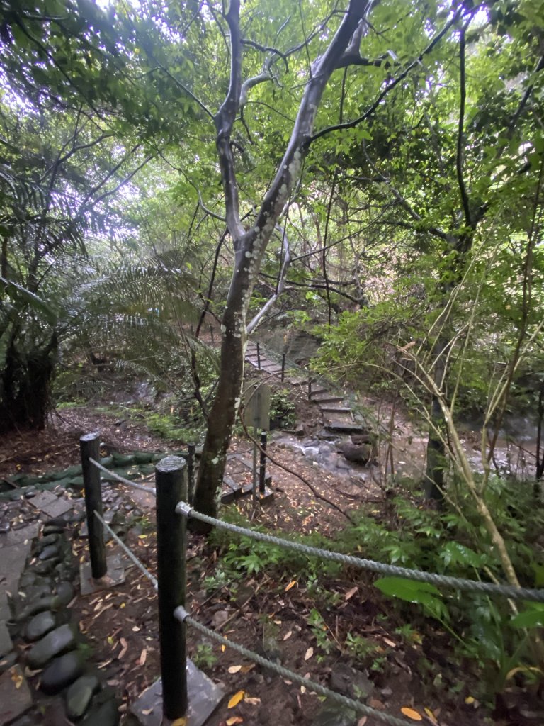 20250705-Ep.03六寮古道-2025森遊竹縣皮皮獅探險隊_2851472