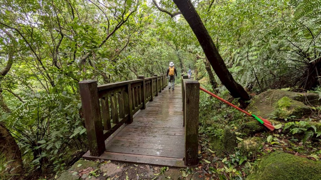 114.11.01旅聯網21週年活動之七星山-七星山東峰-七星公園-夢幻湖_2928899