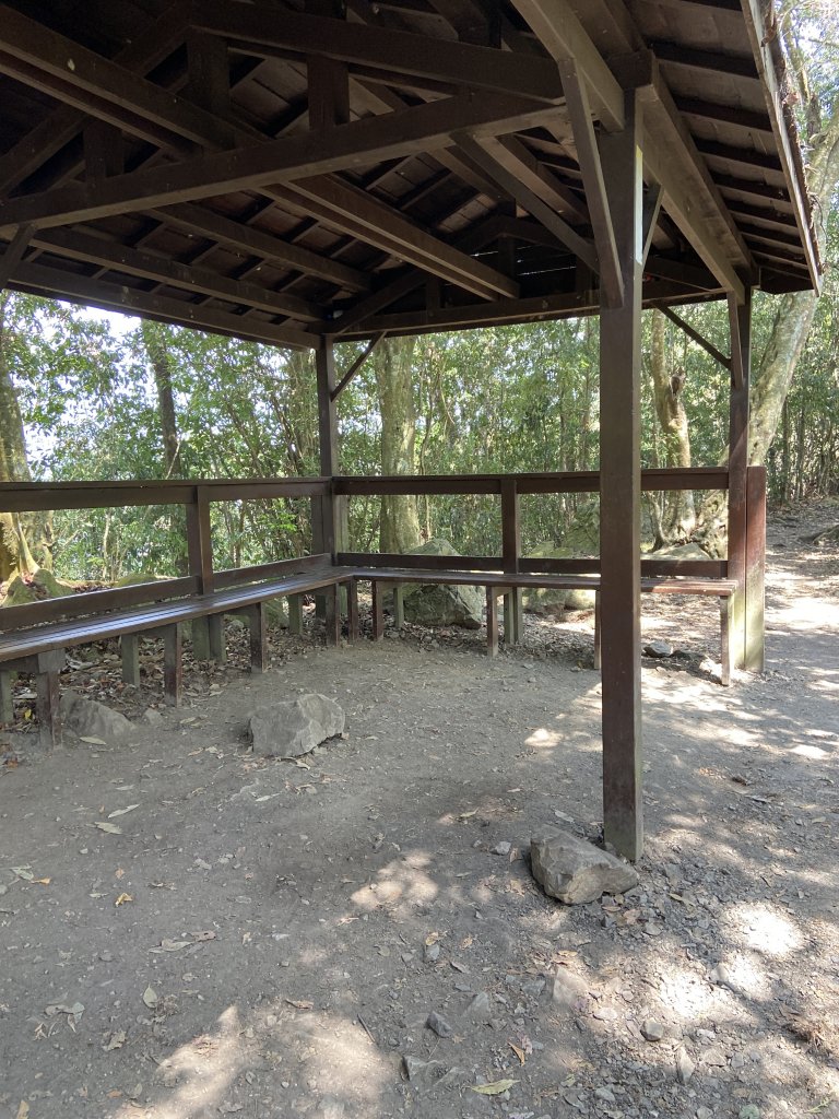 谷關七雄-東卯山原路線來回_2059272