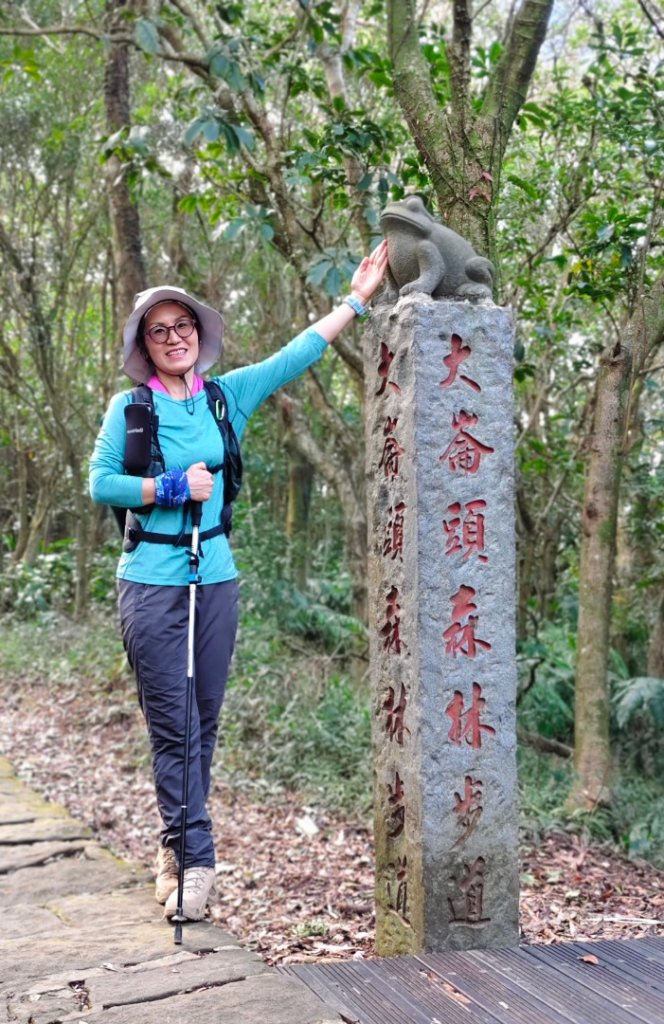 大崙頭尾山_2992018