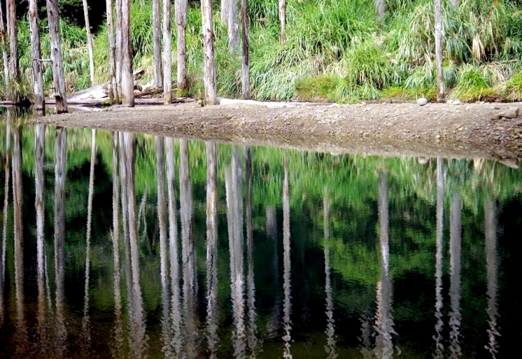 ◎ 水漾森林-美麗靜地 篇_95274