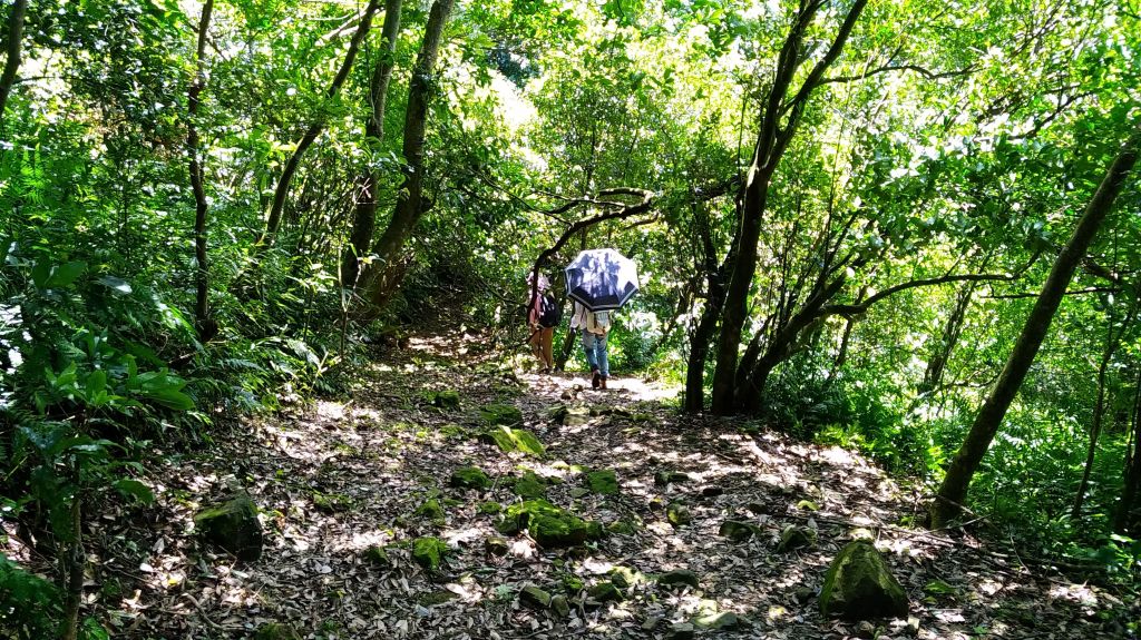 侯硐小粗坑山_141707