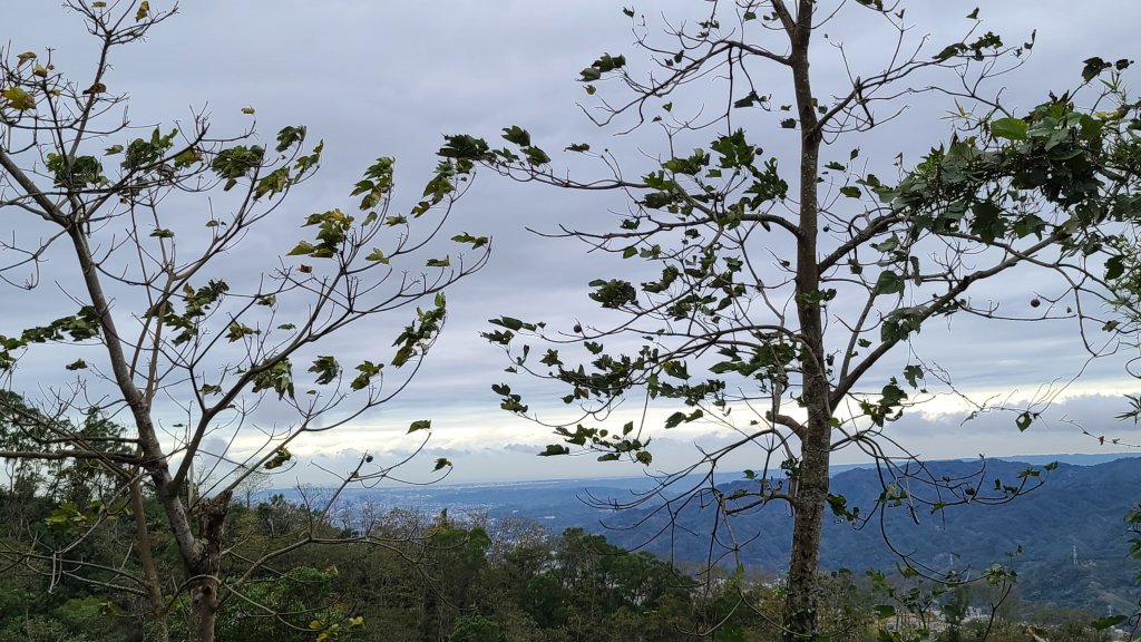 2020-1221 大崎崠登山步道_1214923