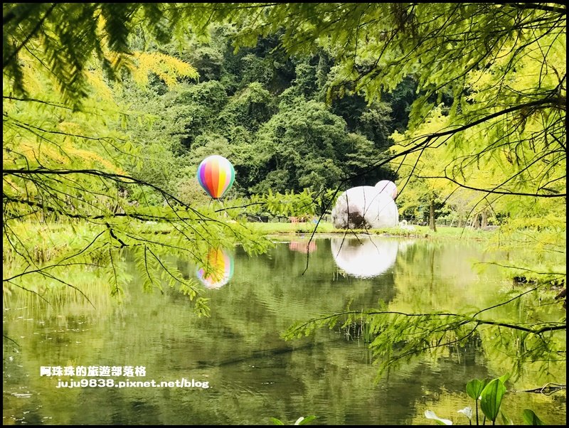 雲水度假村落羽松封面圖