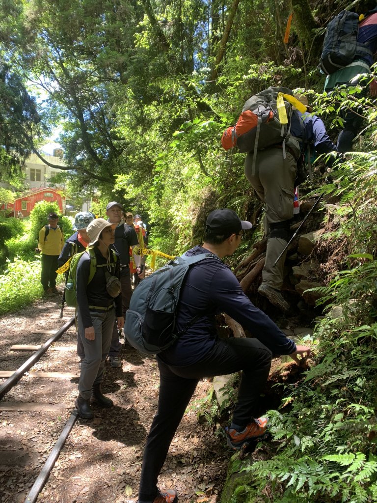 20250517義義兒玉山-東水山_2791630