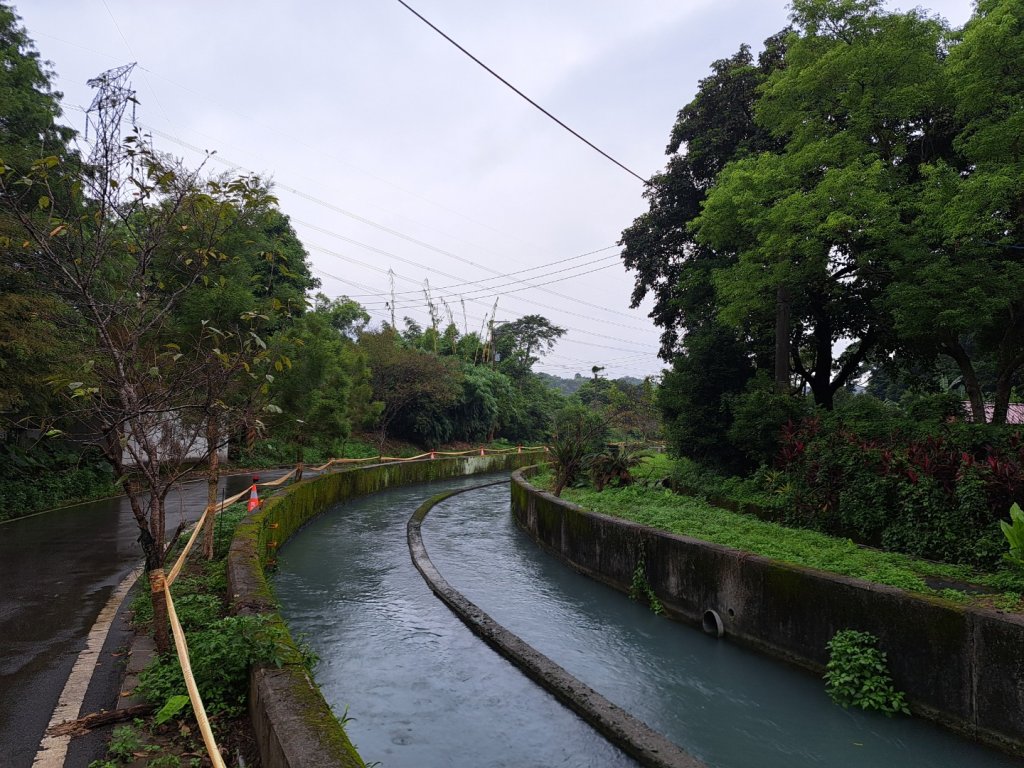 2026樟之細道：清水坑古道-伙房崎古道-大牛崎古道封面圖