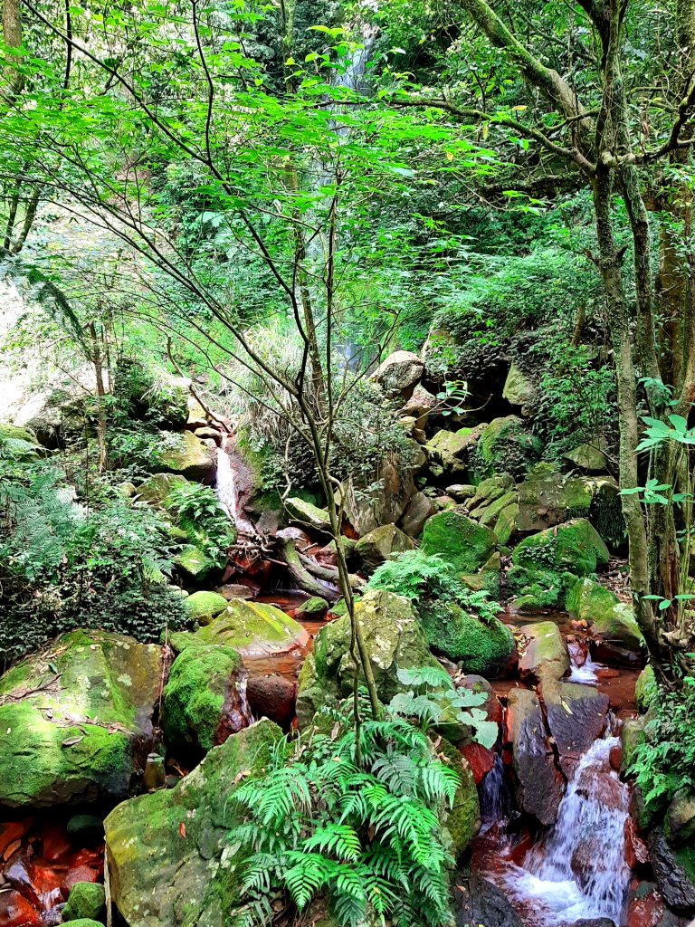 金面山、絹絲瀑布_2532366