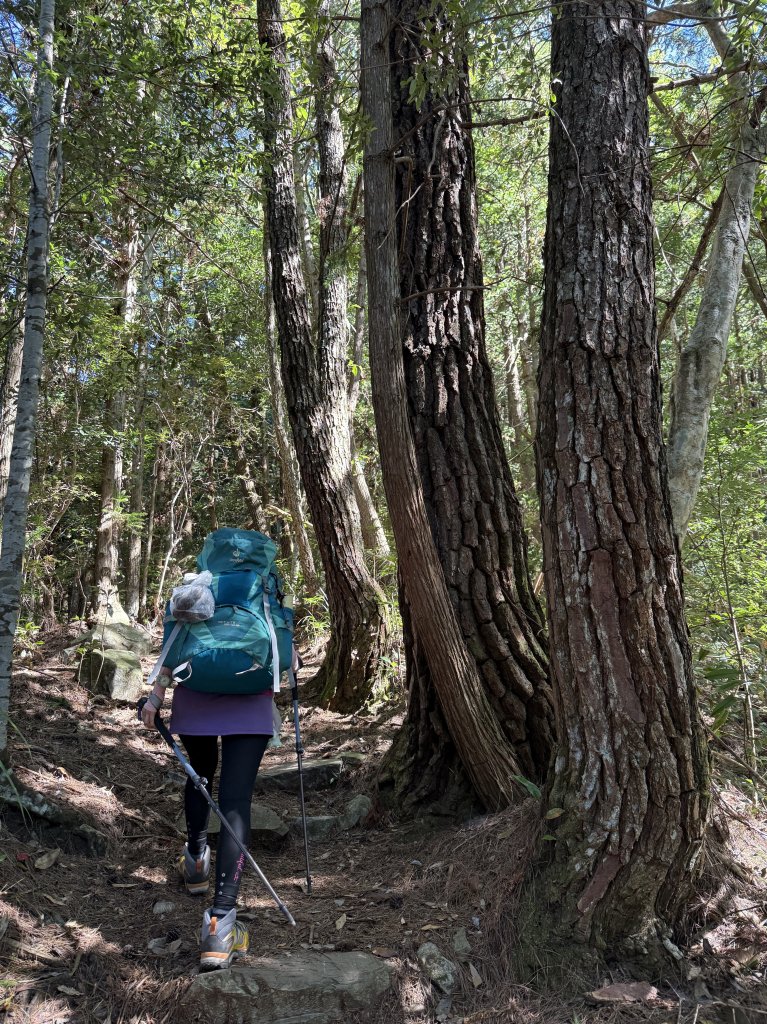 馬崙山 20250906_2889333