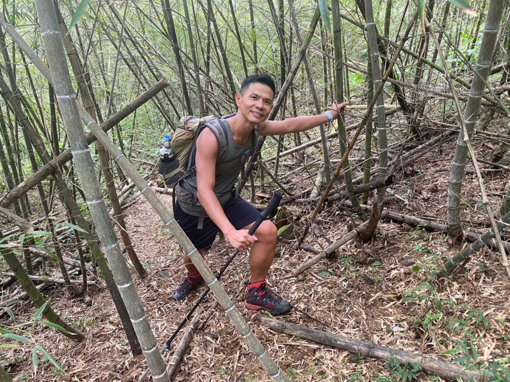 三寶山(烏心石山.鳩州嶺.尖凍山)步道【變成夢魘的大秘寶】_2639842