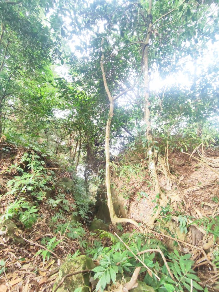 馬那邦山_2666828