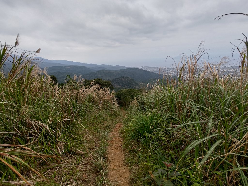 鵲子山_2009261