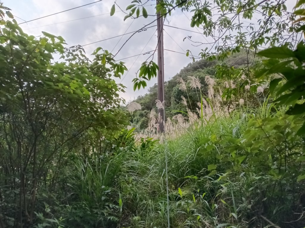 基隆市三層山+湳子大崙+淡基橫斷古道+面桶寮土地公_2982223