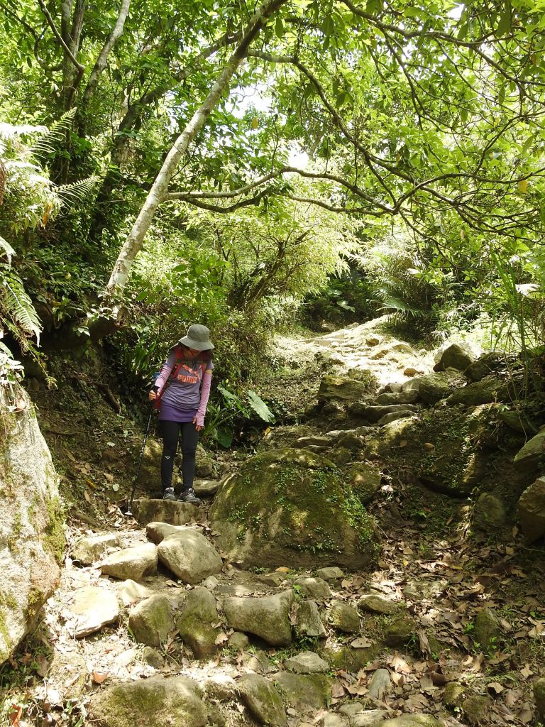 20180513 錐麓古道_332109