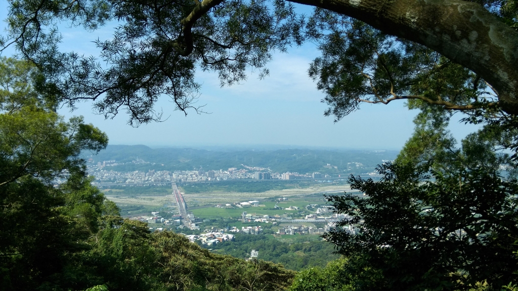 新竹小百岳～飛鳳山步道封面圖