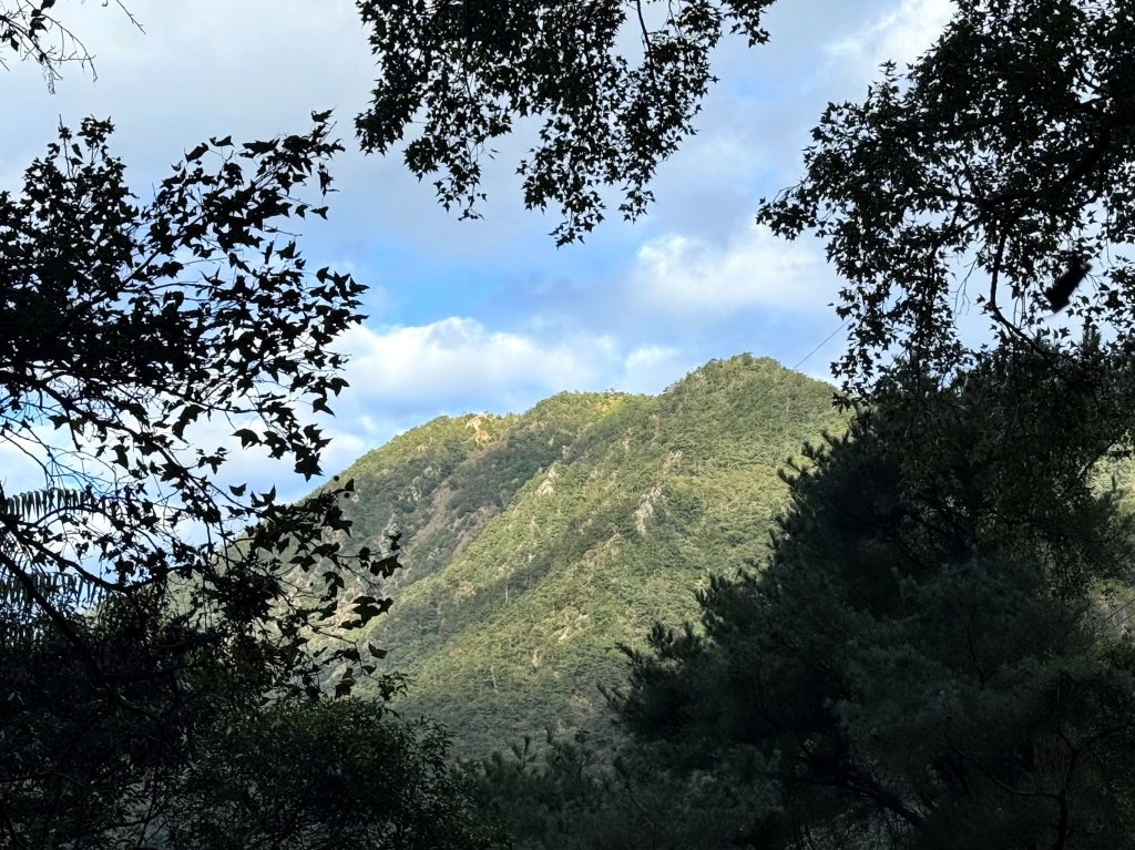 回程下雨的 松鶴上 八仙山 20251025_2925739